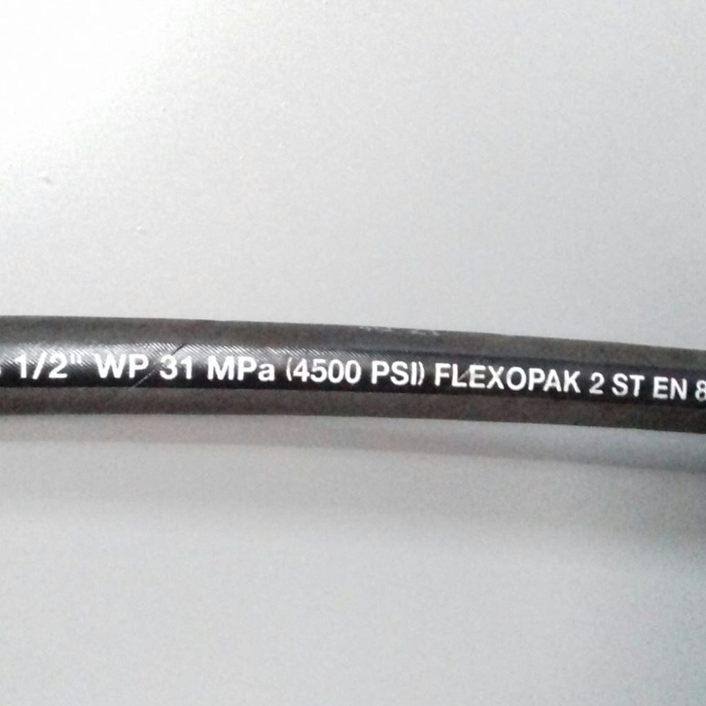 24565