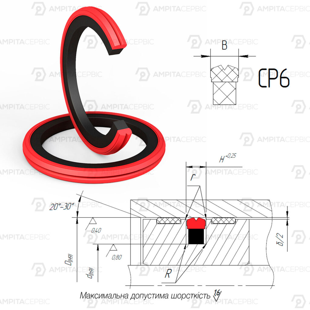 CP6