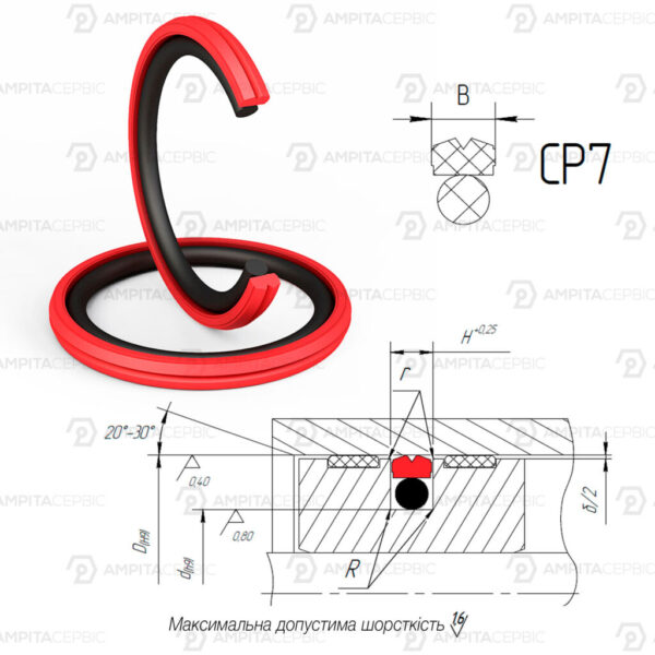 CP7